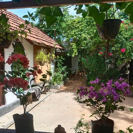 Mamisa Cafe, Home Stay Habarana Luaran gambar