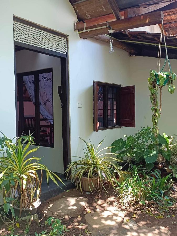 Mamisa Cafe, Home Stay Habarana Luaran gambar